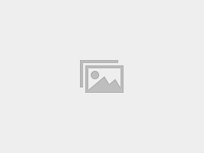 wpforo の導入手順